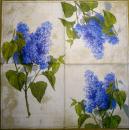 016 Hydrangeas (cream) - Ihr - CS